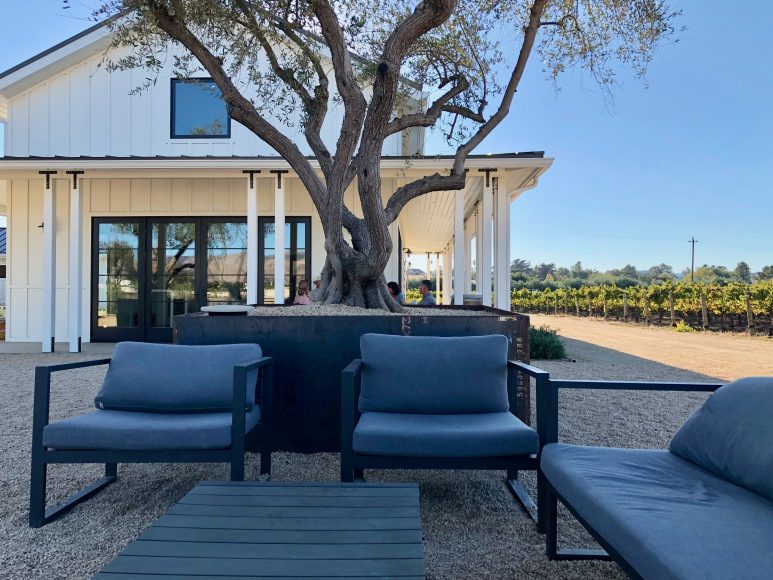 All your modern farmhouse and wine goals come true at Biddle Ranch Vineyard.