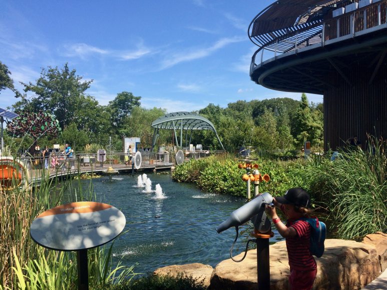 Much more than just blooms, over 150 kid activities at the Dallas Arboretum.