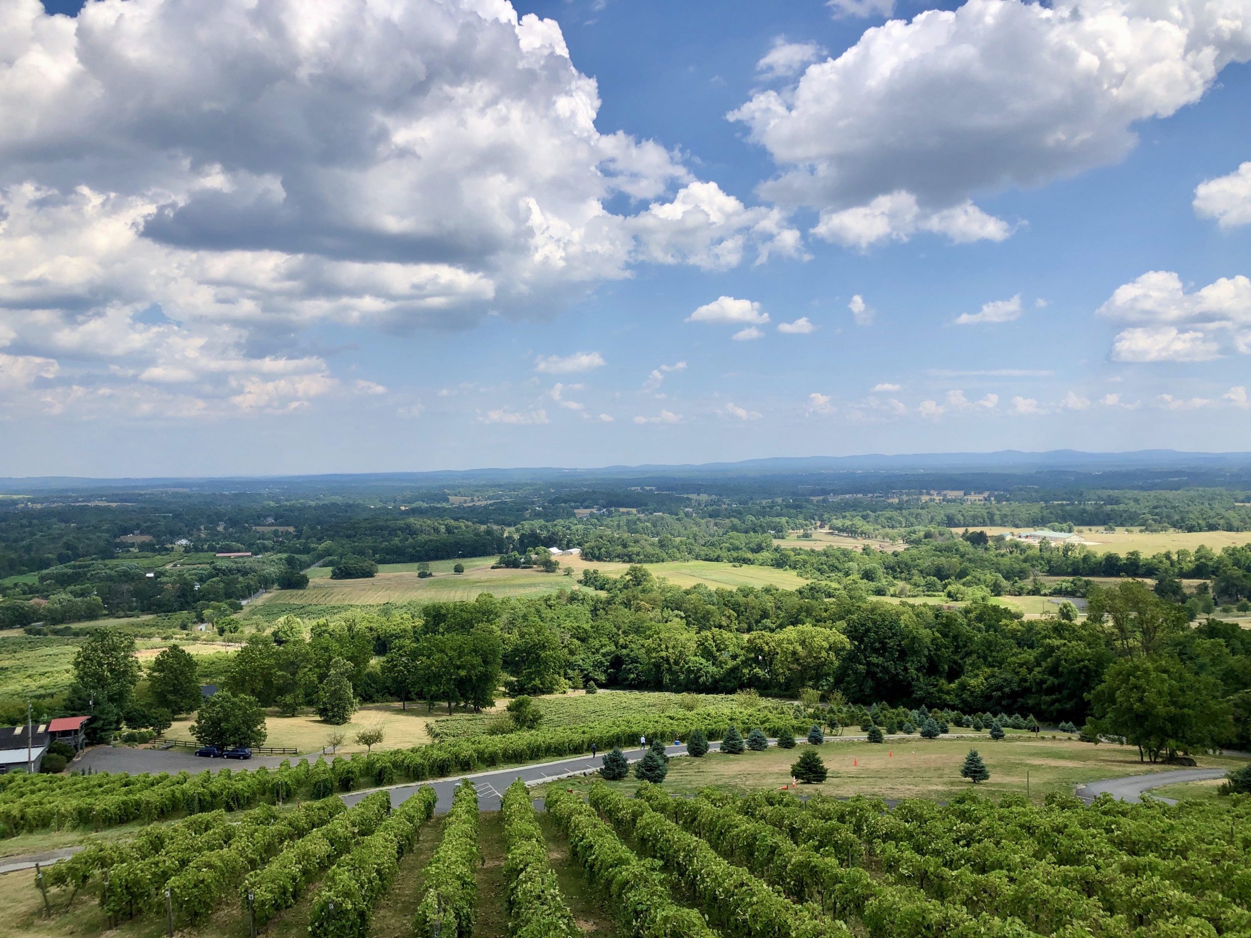 dc-s-family-friendly-wine-country-loudoun-county-vagamom